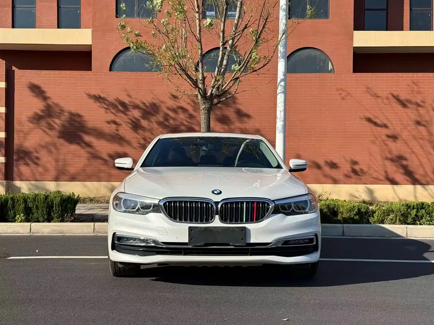 BMW 5 Series 2019 530Li Leading Luxury Package фото 2