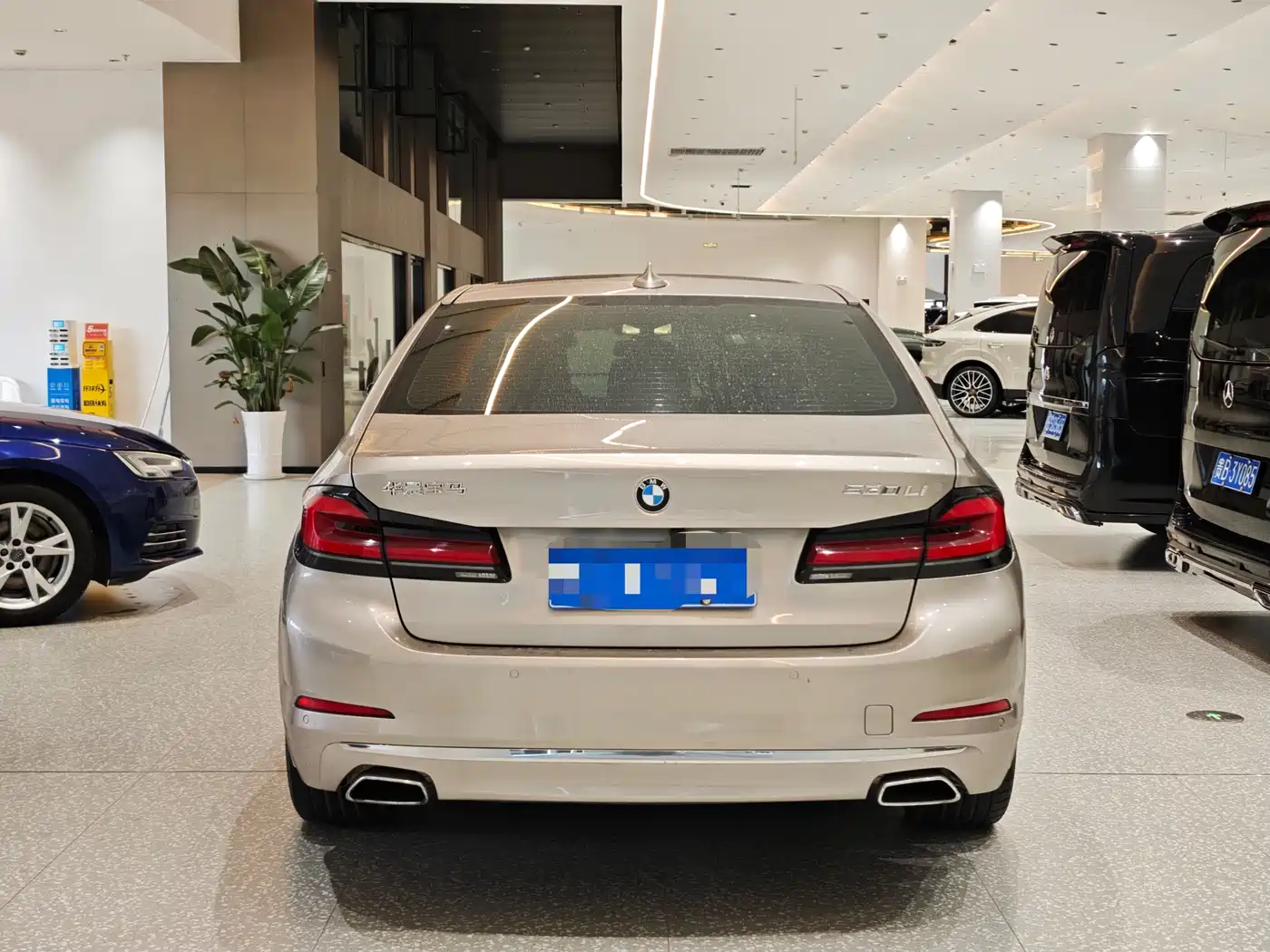 BMW 5 Series 2019 530Li Premium Luxury Package фото 3