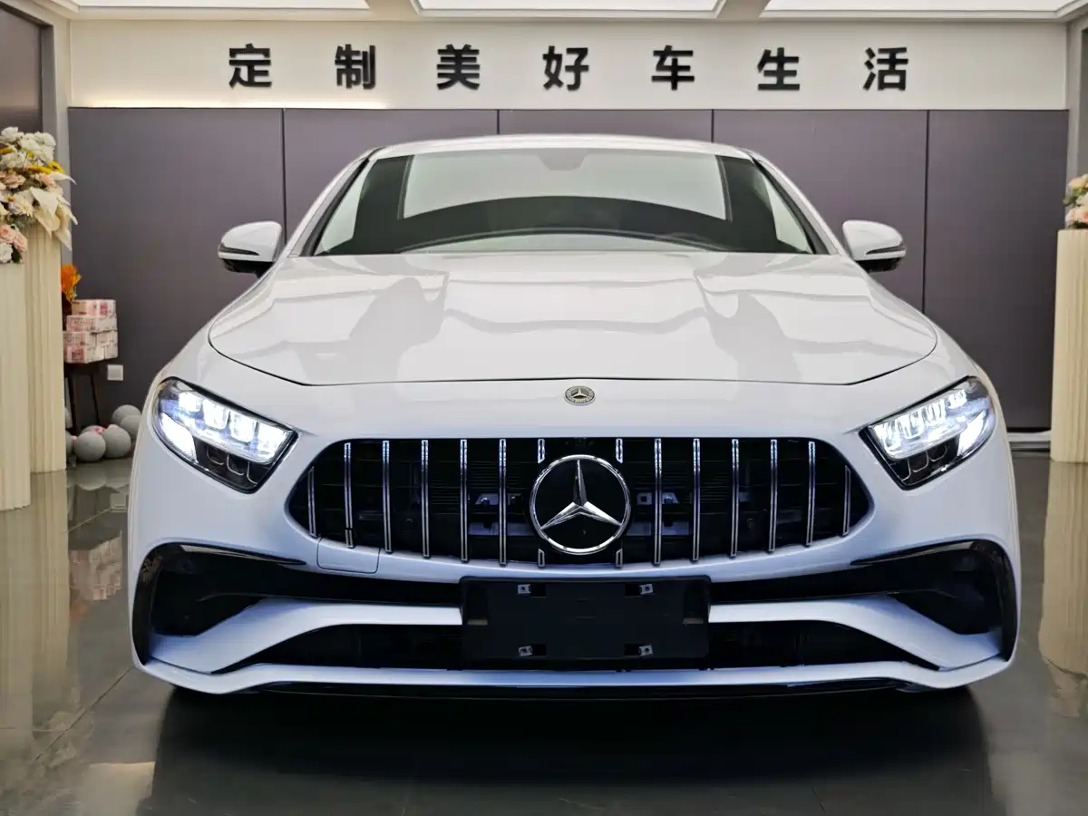 Mercedes-Benz CLS 2022 CLS 300 Dynamic фото 2