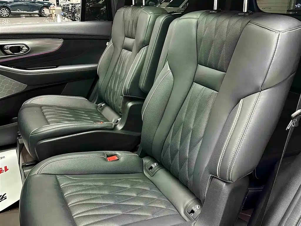 GAC Trumpchi Trumpchi GS8 2022 Dual Engine Series 2.0TM 4WD Premium Edition (6-Seater) фото 28