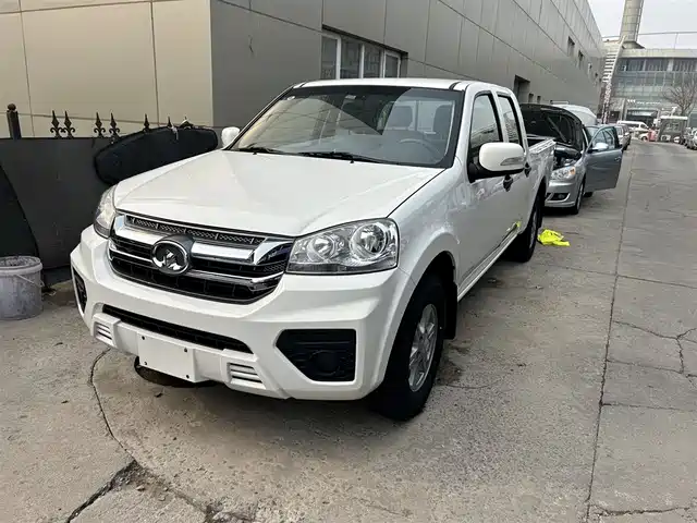 GREAT WALL FENGJUN 5