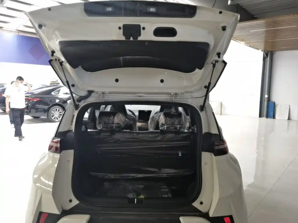 BYD Seagull 2025 Smart Drive Edition 305km Vitality Version фото 19