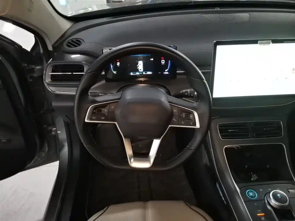 BYD Destroyer 05 2024 Glory Edition DM-i 55KM Luxury фото 11