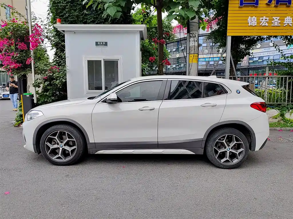 BMW X2 (Import) 2019 sDrive20i M Off-Road Package China VI фото 3