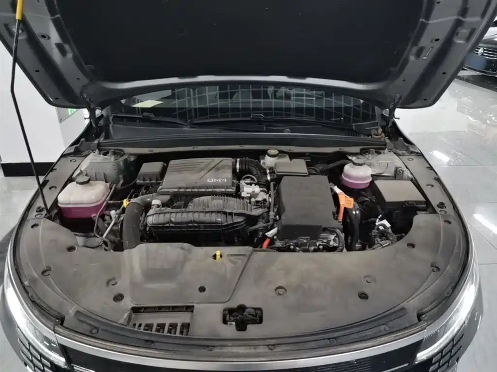 BYD Destroyer 05 2024 Glory Edition DM-i 55KM Luxury фото 20