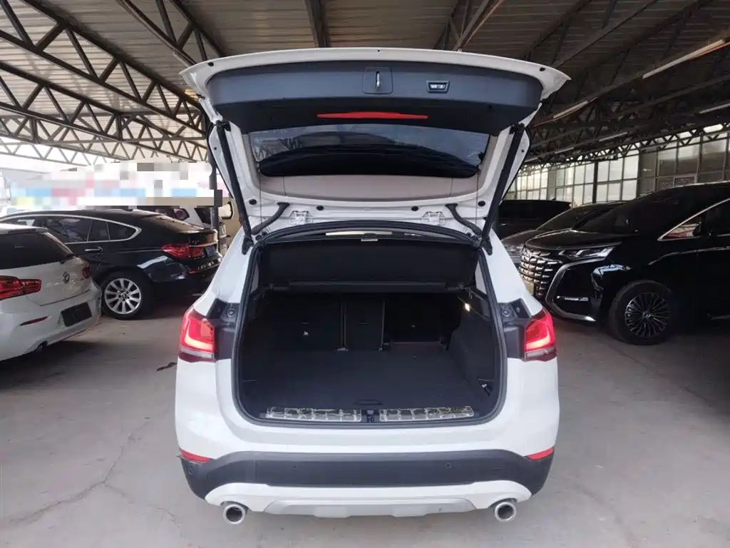 BMW X1 2020 xDrive25Li Premium Edition фото 19