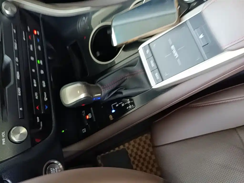 Lexus RX 2020 300 4WD Elegance Edition China VI фото 9