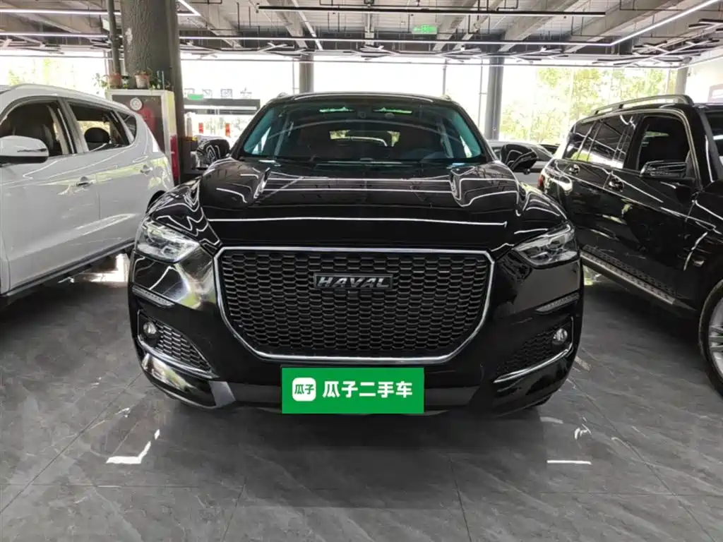 Haval F5 2019 National Trend Edition 1.5T iStyle China VI фото 3