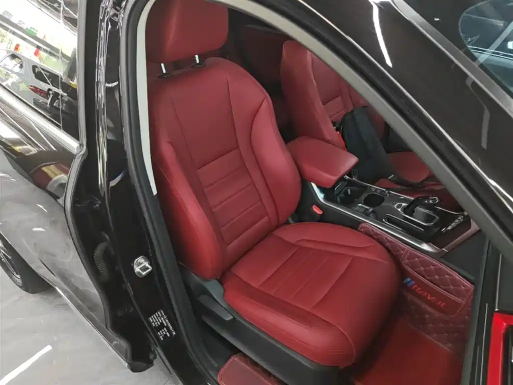 Haval F5 2019 National Trend Edition 1.5T iStyle China VI фото 25
