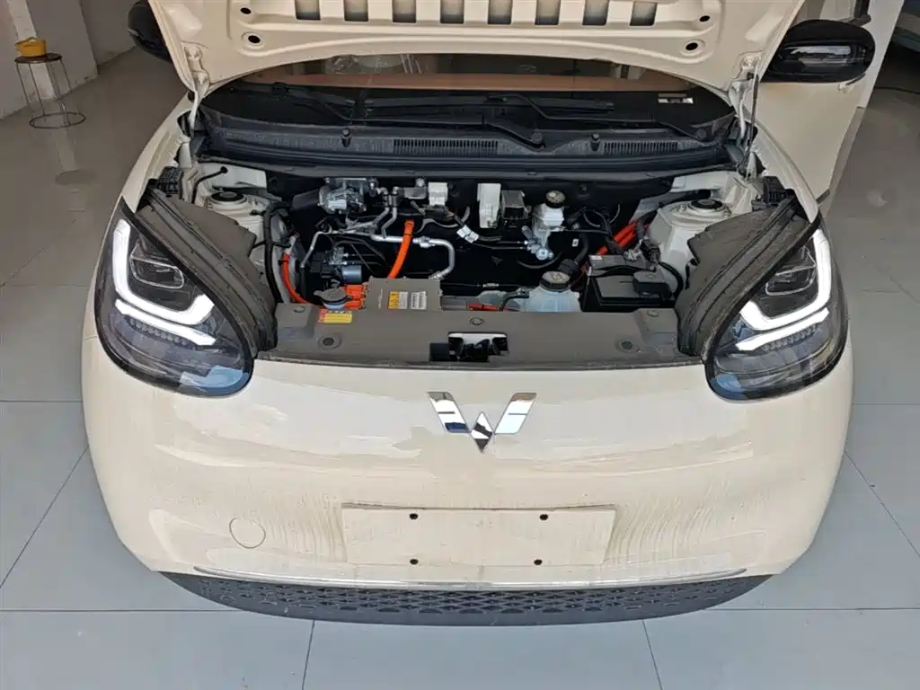 Wuling Motors Wuling Bingo 2026 2025 Model 333km Joy Edition