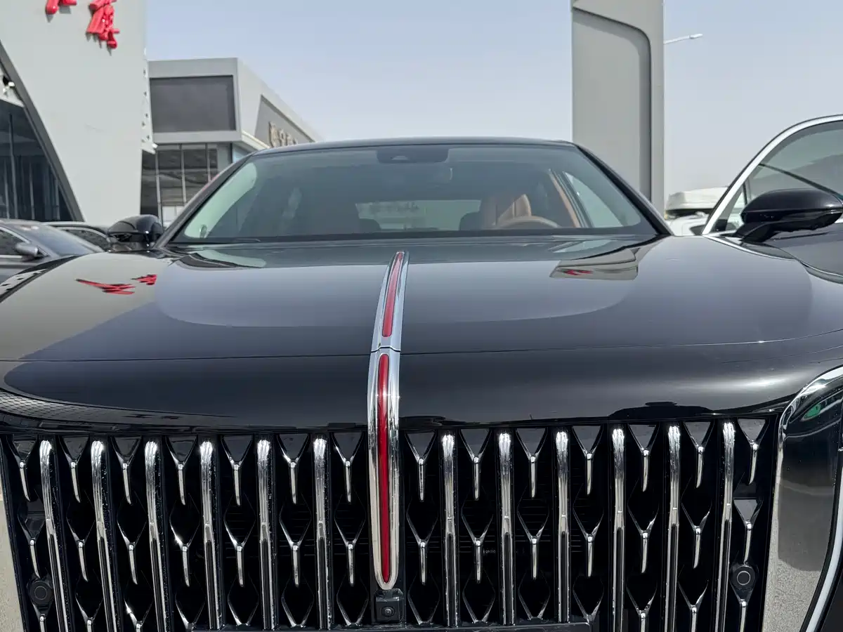 Hongqi H9 2025 Facelift 2.0T 2WD Flagship Luxury Business Edition 5-seater фото 17