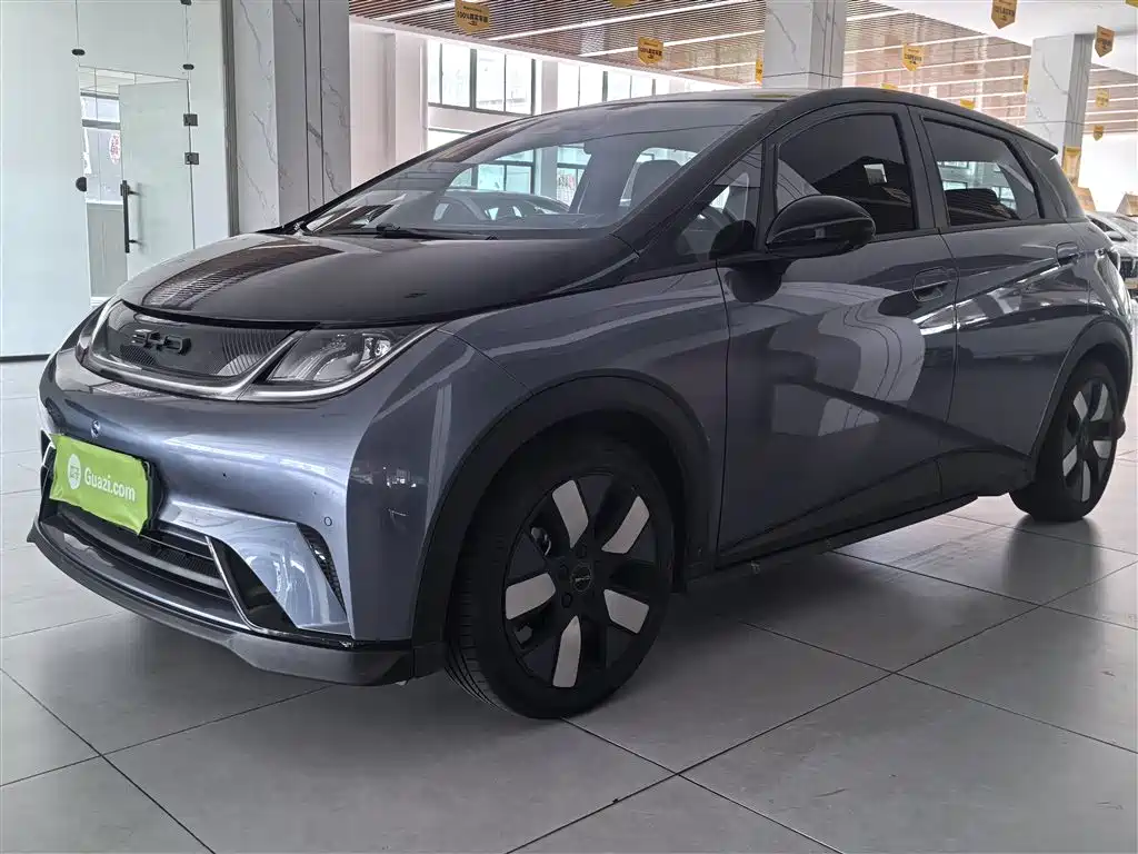 BYD Dolphin 2023 401km Knight Edition