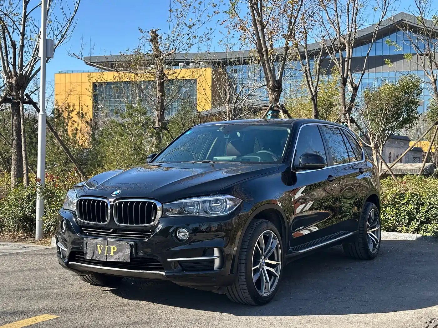 BMW X5 (Import) 2017 xDrive35i Elegance