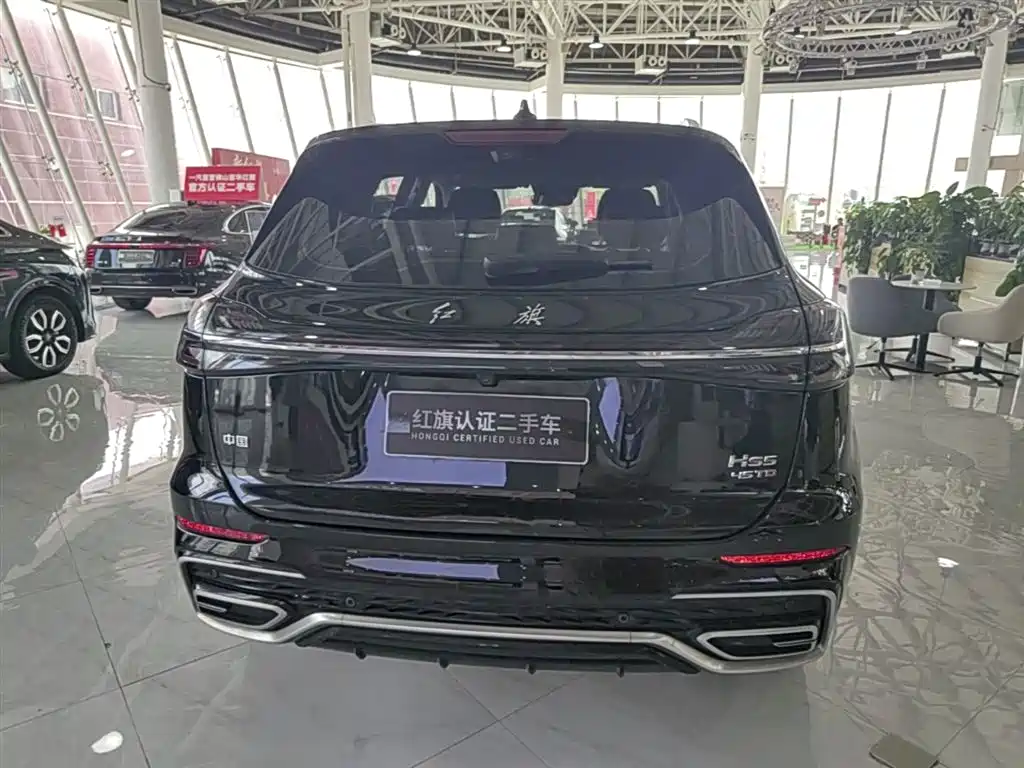 Hongqi HS5 2023 2.0T Flag Enjoy Pro Edition фото 10