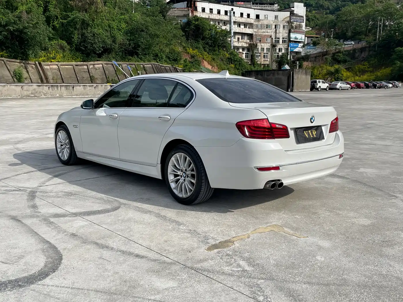 BMW 5 Series 2013 525Li Luxury фото 6