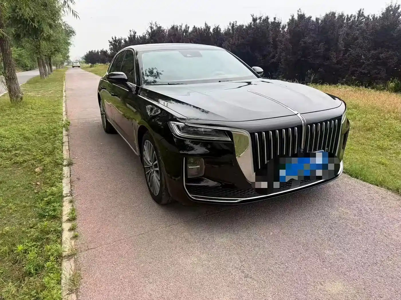 Hongqi H9 2021 2020 2.0T Smart Connection Qi Xiang Edition