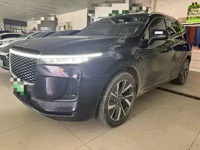 Li Auto ONE