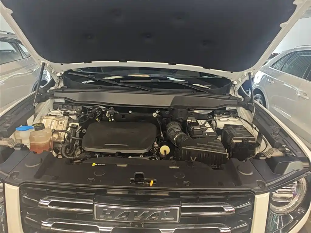 Haval Big Dog 2022 1.5T DCT FWD Border Collie Edition фото 20