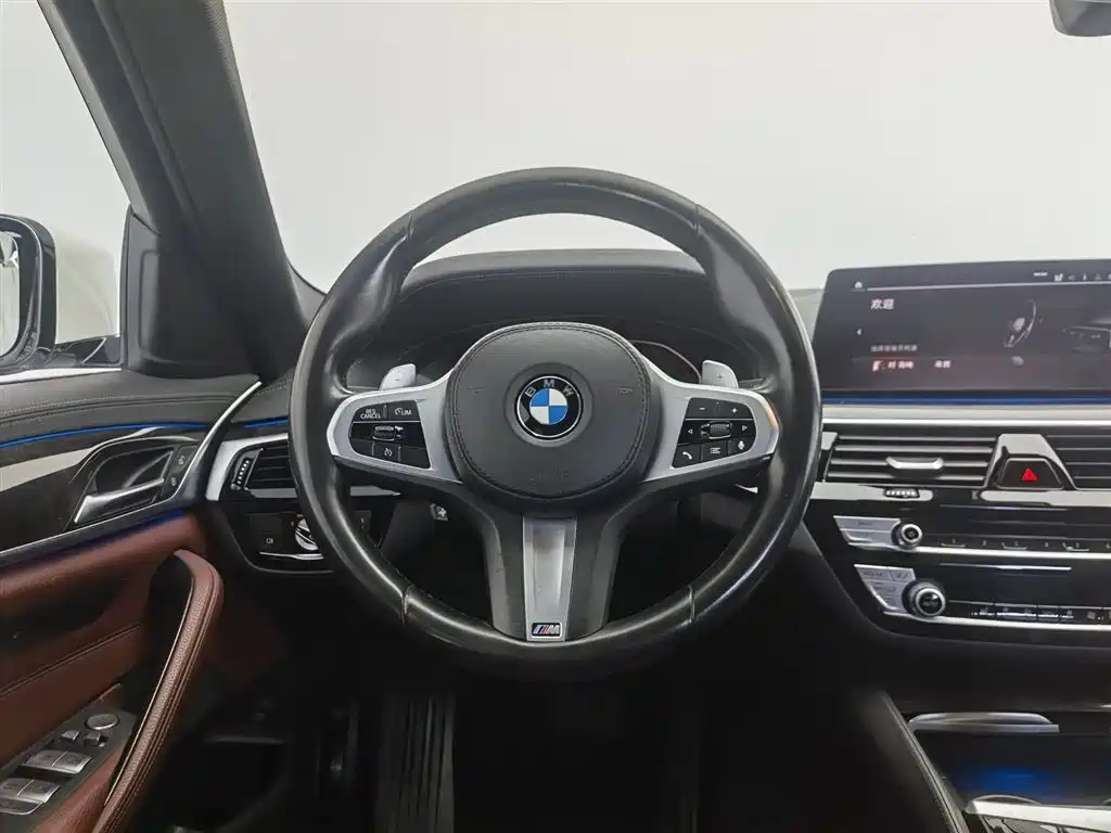 BMW 5 Series 2020 530Li Leading M Sport Package фото 11