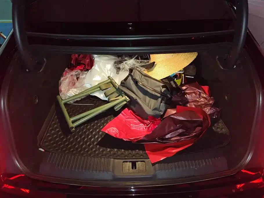 Hongqi H9 2022 2.0T Smart Connect Flag Joy Edition фото 4