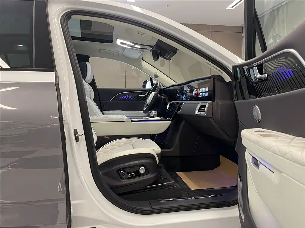 Hongqi E-HS9 2022 660km Qi Ling Edition (4-seater) фото 17