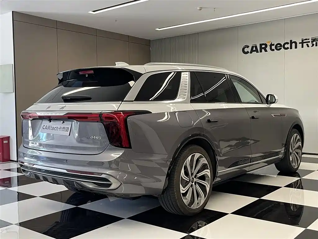 Hongqi E-HS9 2022 660km Qi Ling Edition (4-seater) фото 5