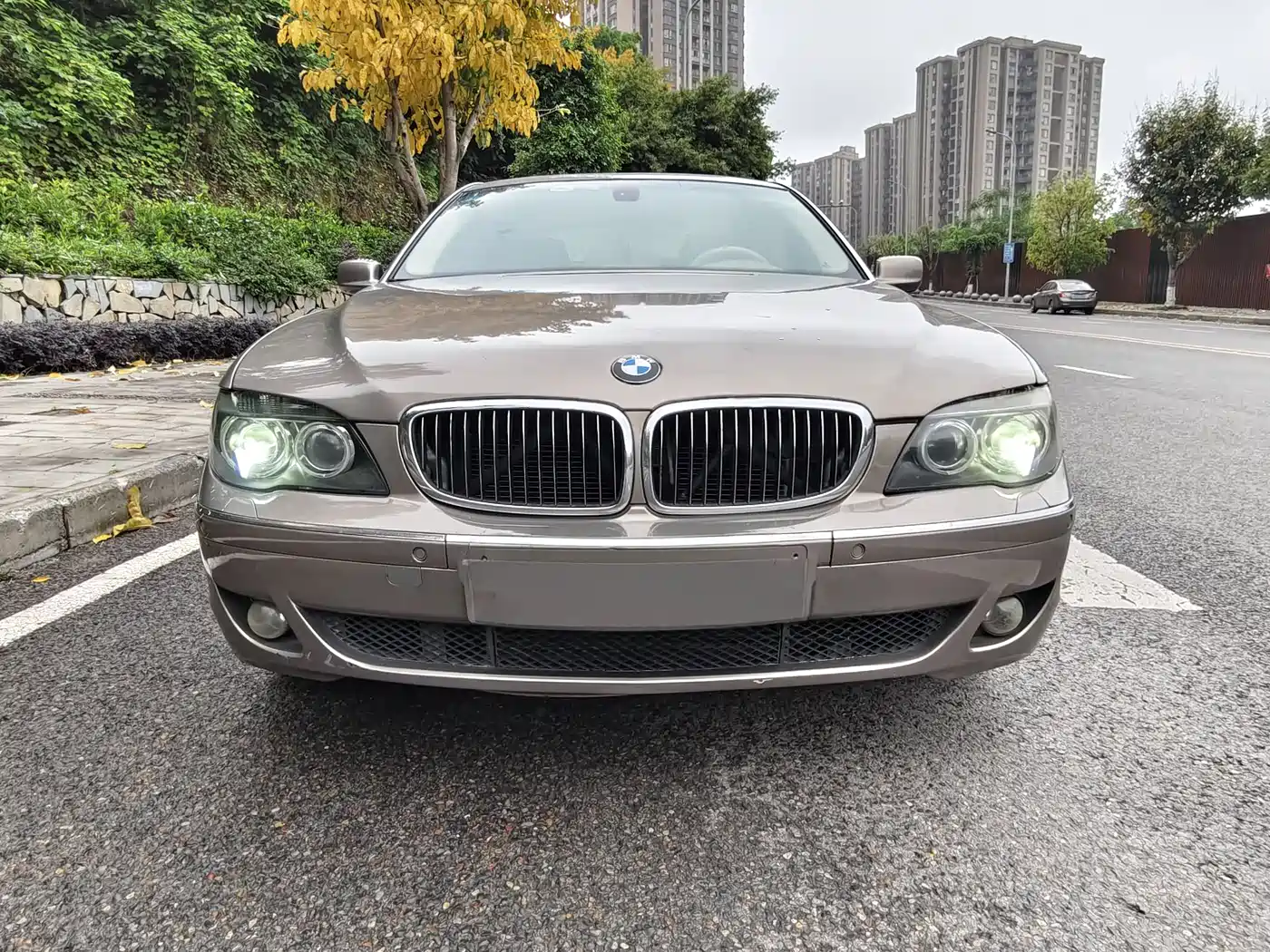 BMW 7 Series 2008 Model 730Li Classic Edition фото 2