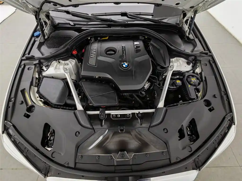 BMW 5 Series 2018 530Li Premium M Sport Package фото 6