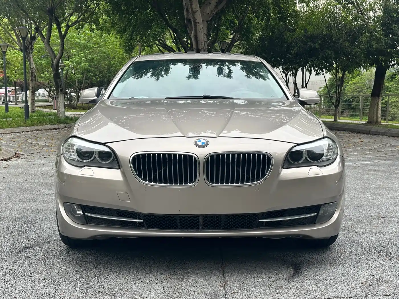 BMW 5 Series 2012 523Li Luxury фото 2