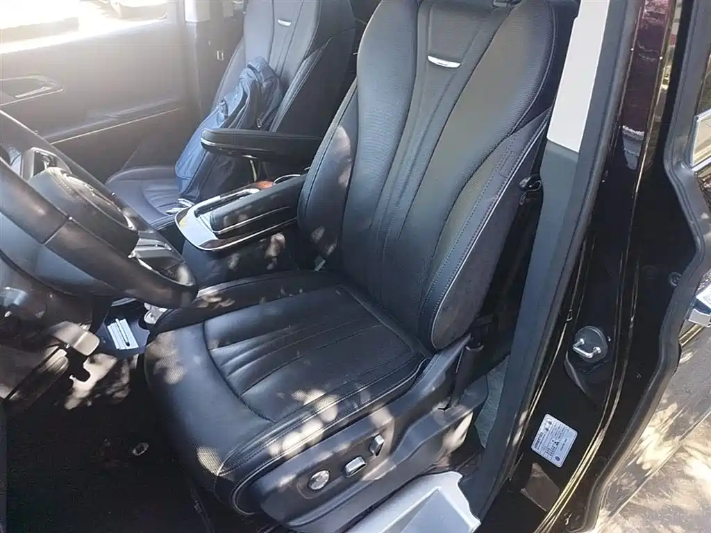 Hongqi HQ9 PHEV 2024 Model 2.0T AWD Luxury Edition фото 11