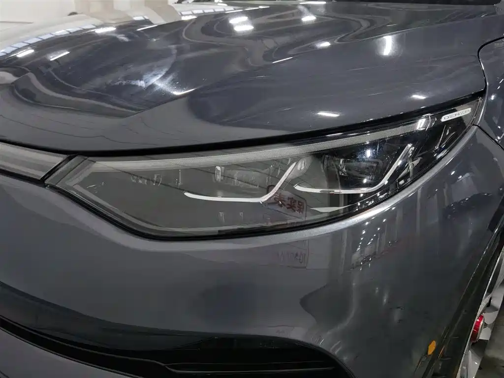 Denza X 2020 PHEV Sport Edition фото 7