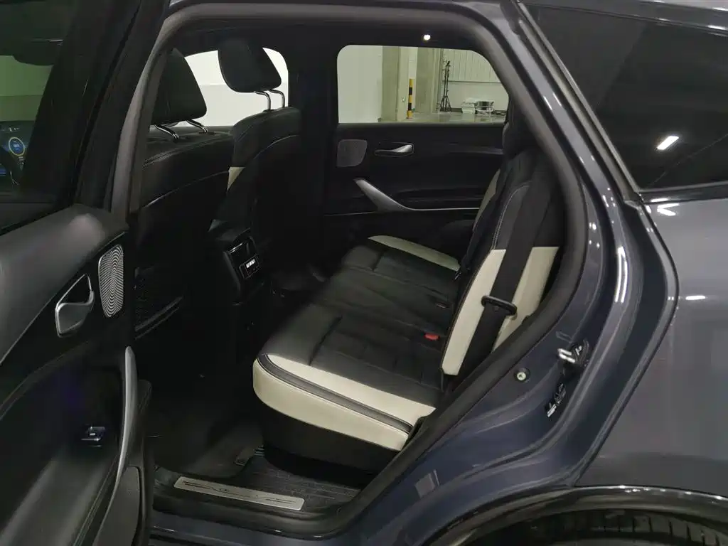 Denza X 2020 PHEV Sport Edition фото 15