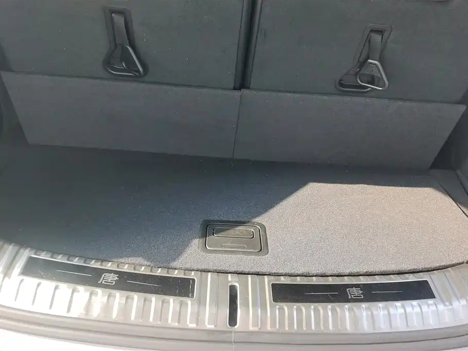 BYD Tang New Energy 2021 DM-i 112KM Honor фото 4