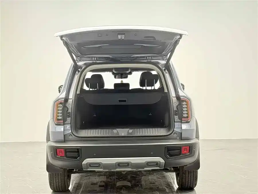 Haval Big Dog 2024 1.5T DCT Border Collie Edition фото 7