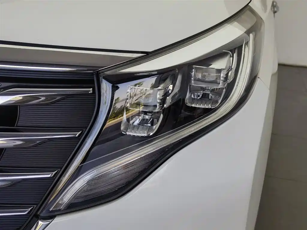 GAC Trumpchi Trumpchi M8 2018 320T Luxury Edition фото 7