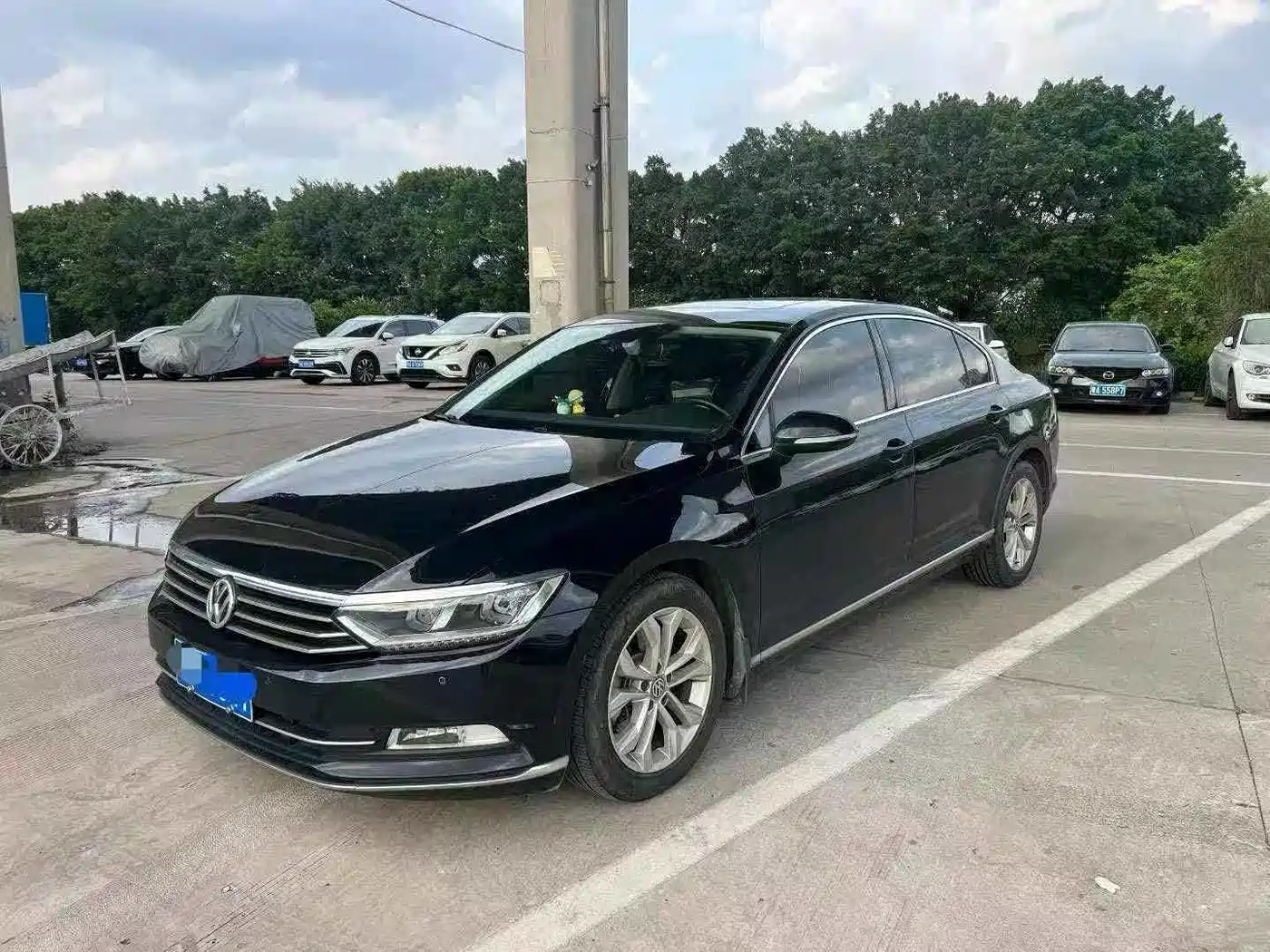 Volkswagen Magotan 2019 330TSI DSG Luxury Class China VI