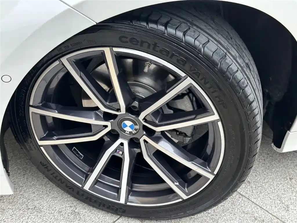 BMW 3 Series 2024 325Li M Sport Package фото 18