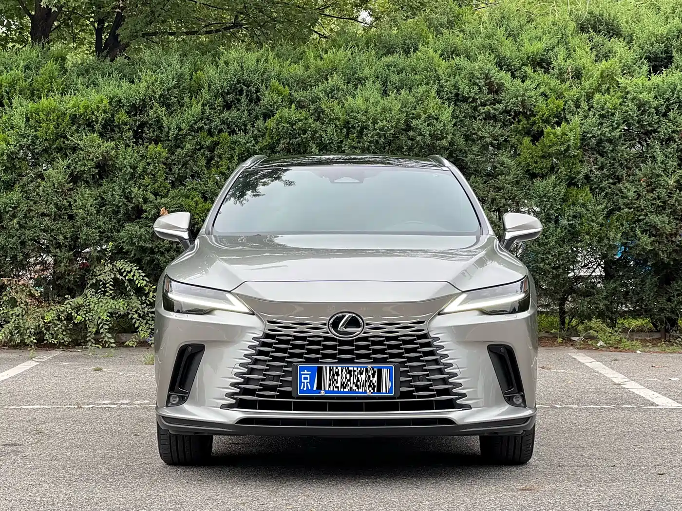 2025 Lexus RX