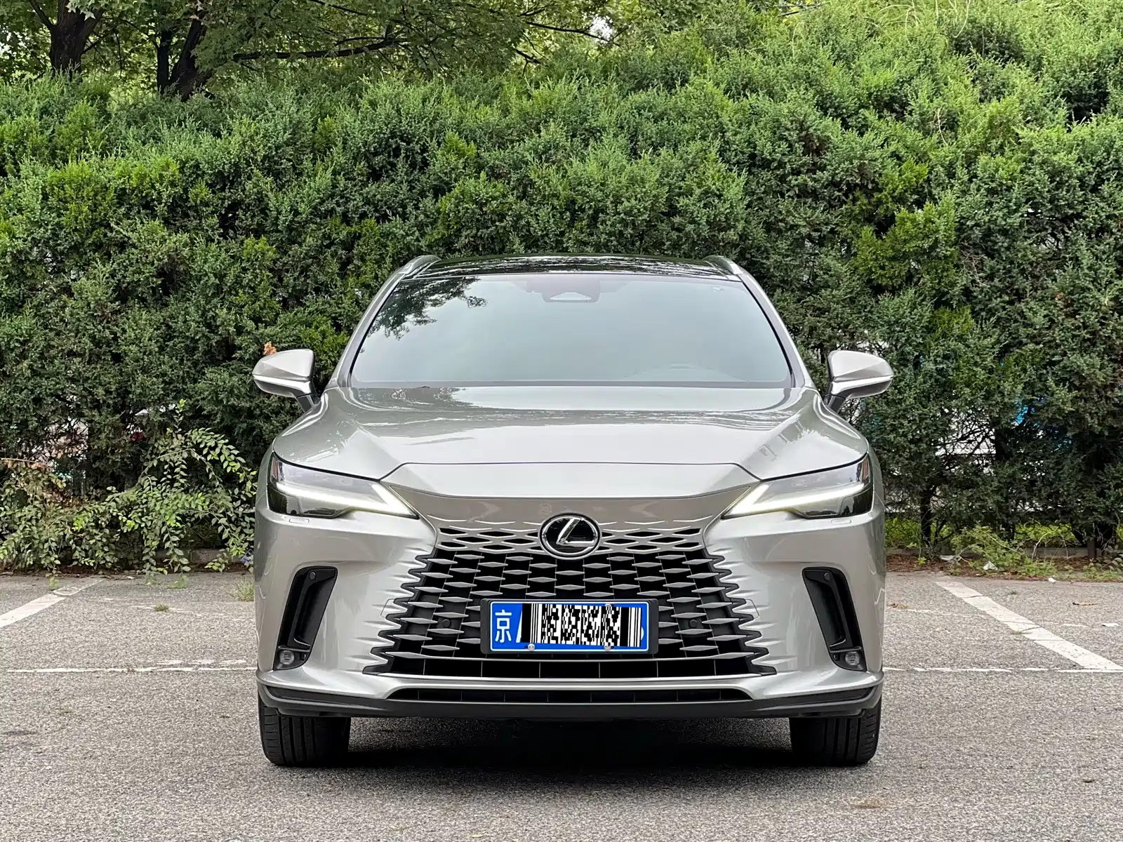 Фото 2 - Lexus RX