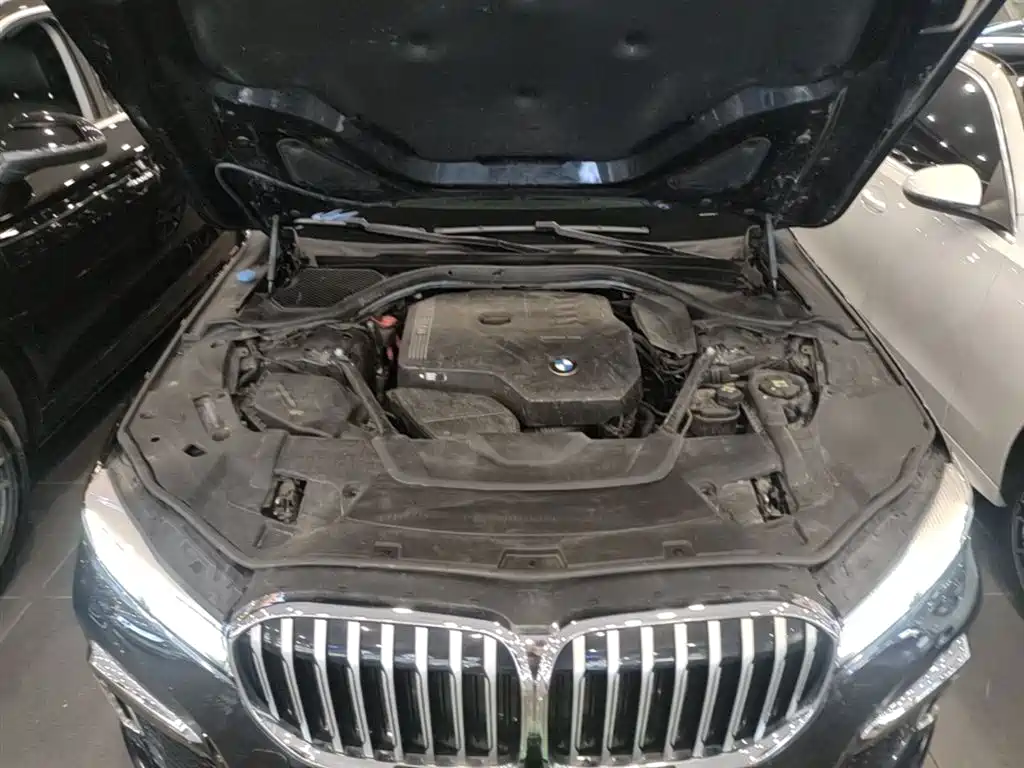 BMW 7 Series 2021 Model 730Li M Sport Package фото 20