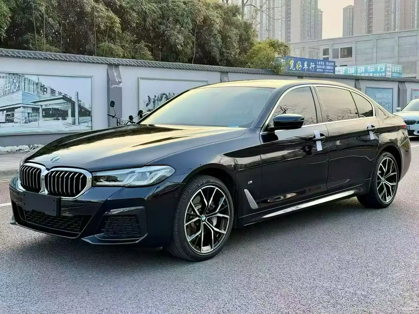 BMW 5 Series 2021 530Li Premium M Sport Package