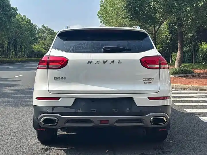 Haval H6 2019 Red Label 2.0GDIT Automatic Champion Edition фото 8