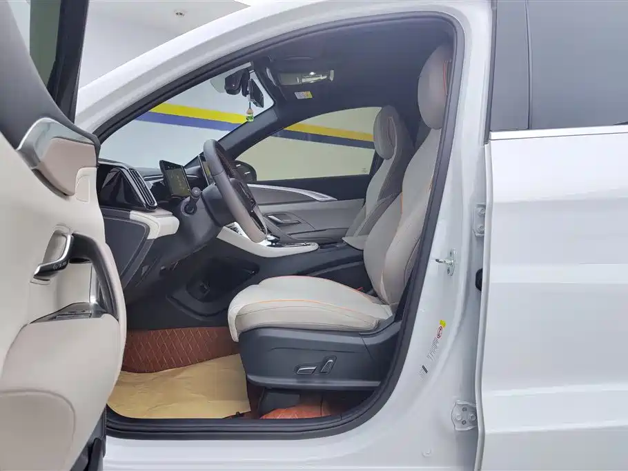 BYD Song Pro New Energy 2024 Glory Edition DM-i 71KM Pilot фото 9