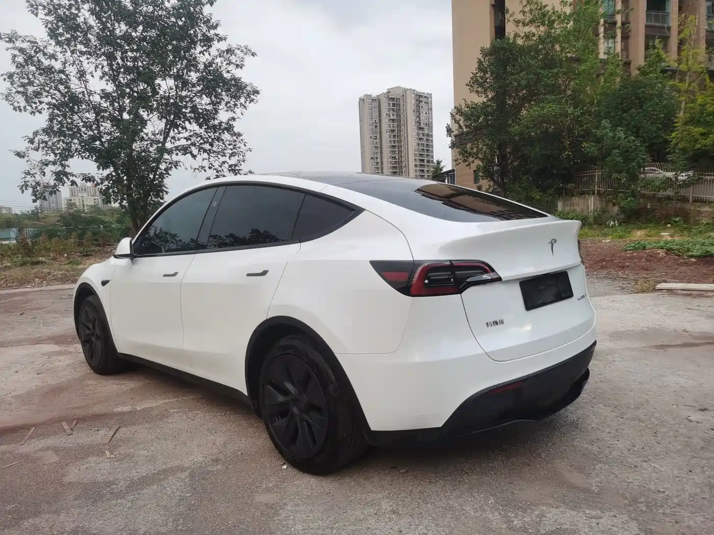 Фото 13 - Tesla Model Y