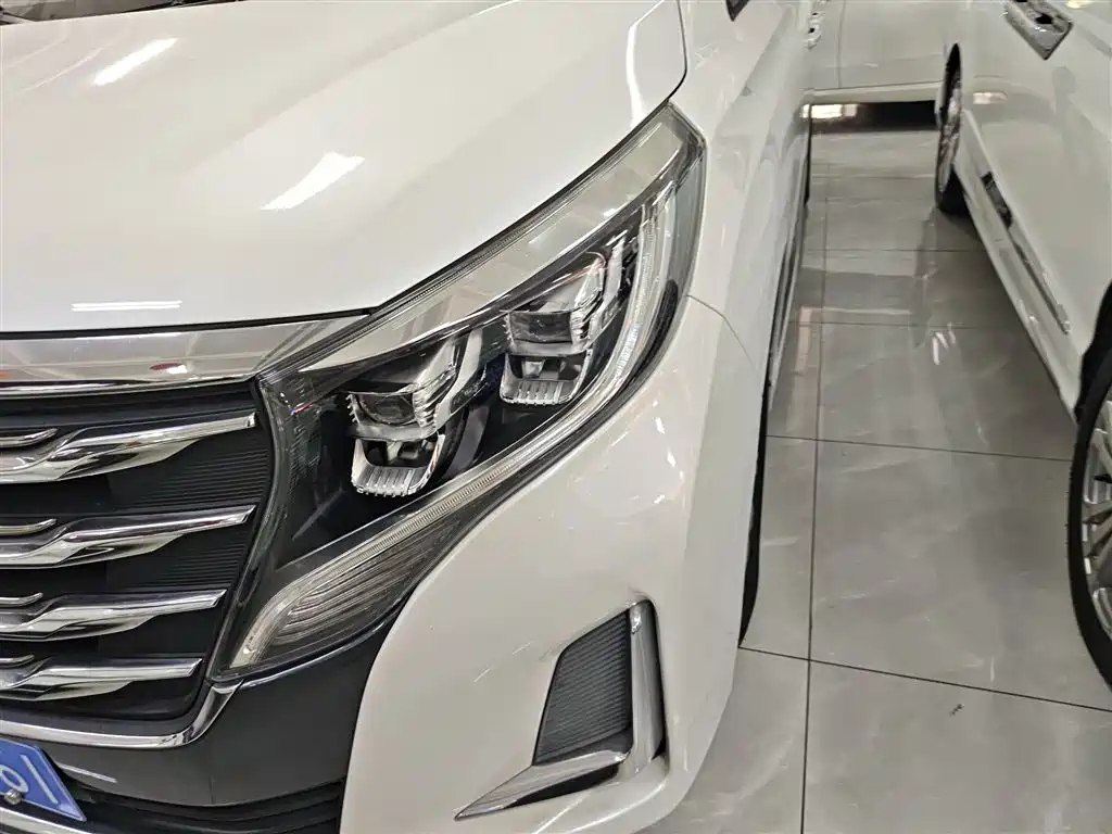 GAC Trumpchi Trumpchi M8 2020 Pilot 390T Premium Edition фото 18