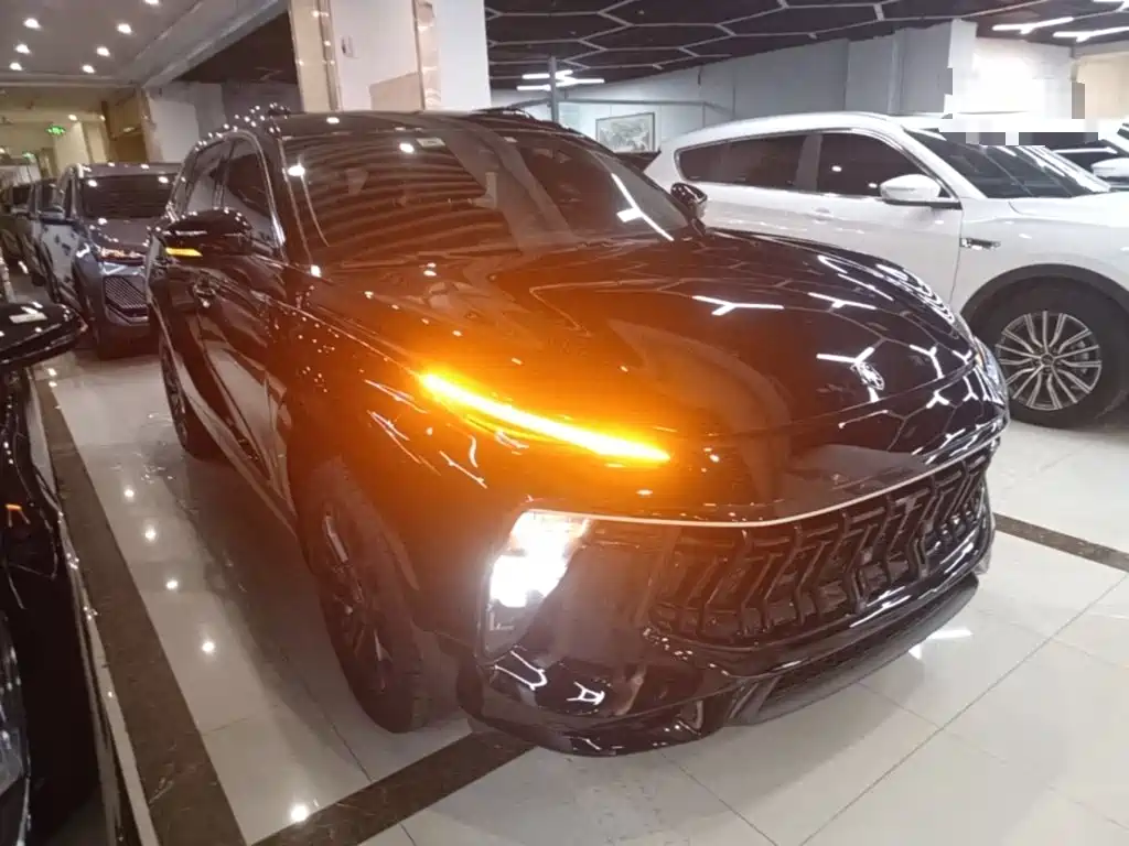 Dongfeng Fengxing Fengxing T5 EVO 2023 2021 1.5TD DCT Diamond Edition