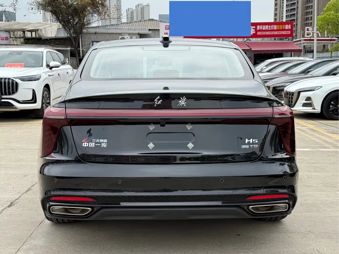 Hongqi H5 2025 1.5T DCT Mystic Shadow 2 Million Edition фото 5
