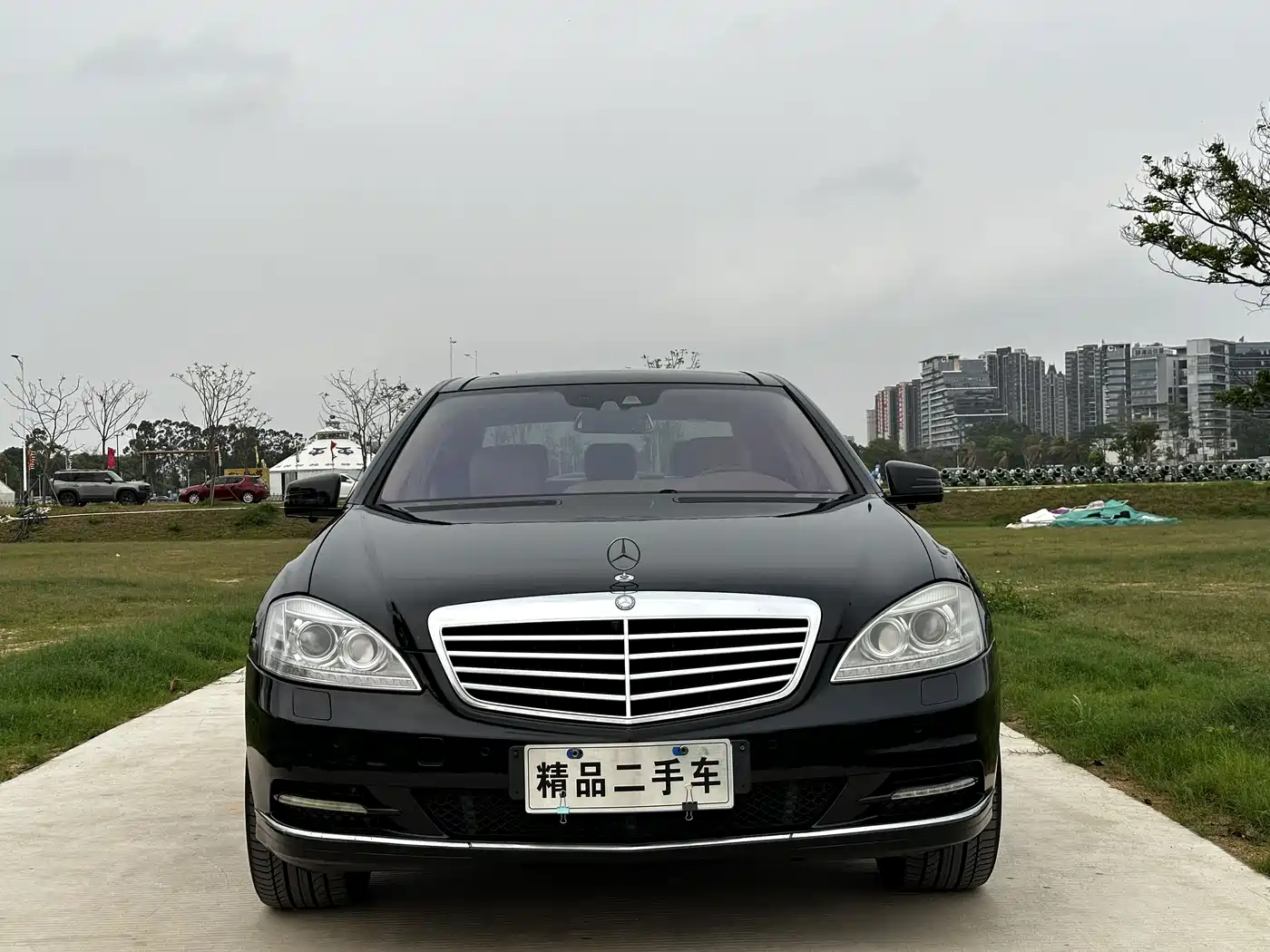 Mercedes-Benz S-Class 2010 S 350 L Luxury фото 2