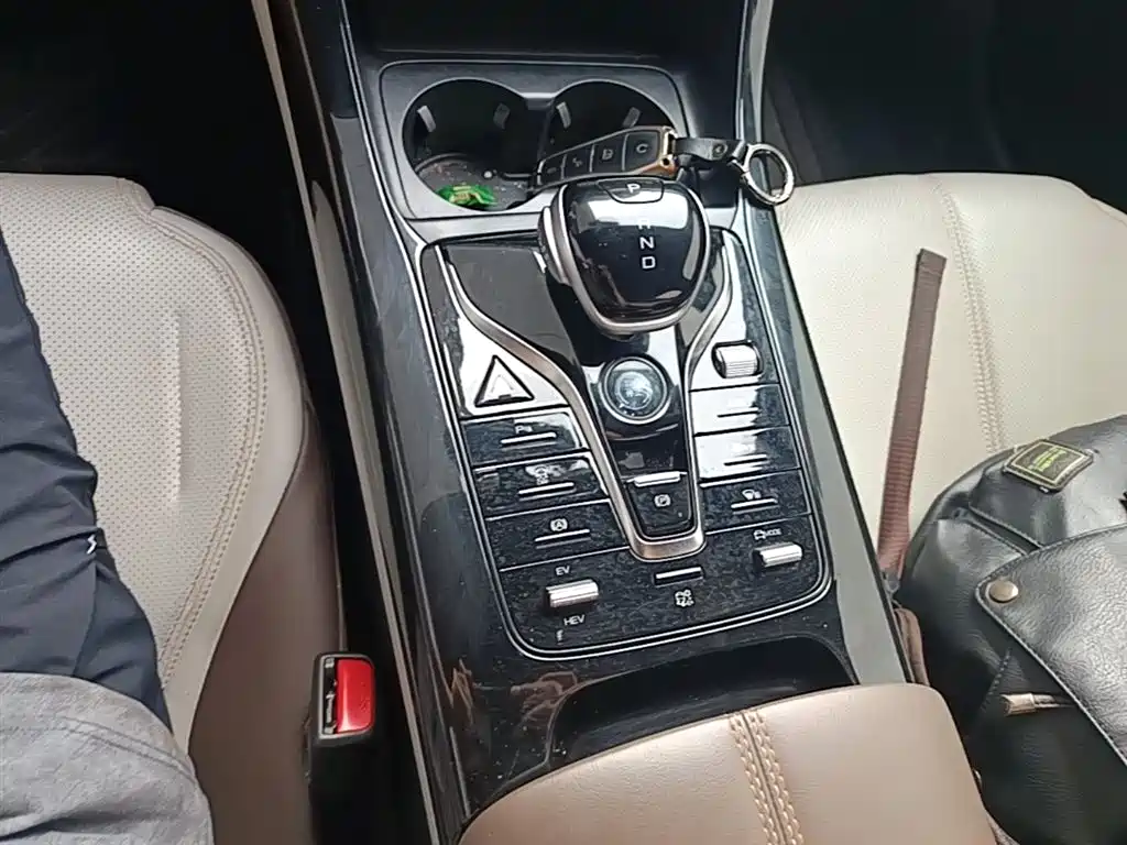 BYD Qin PLUS 2023 Champion Edition DM-i 55KM Leading фото 14
