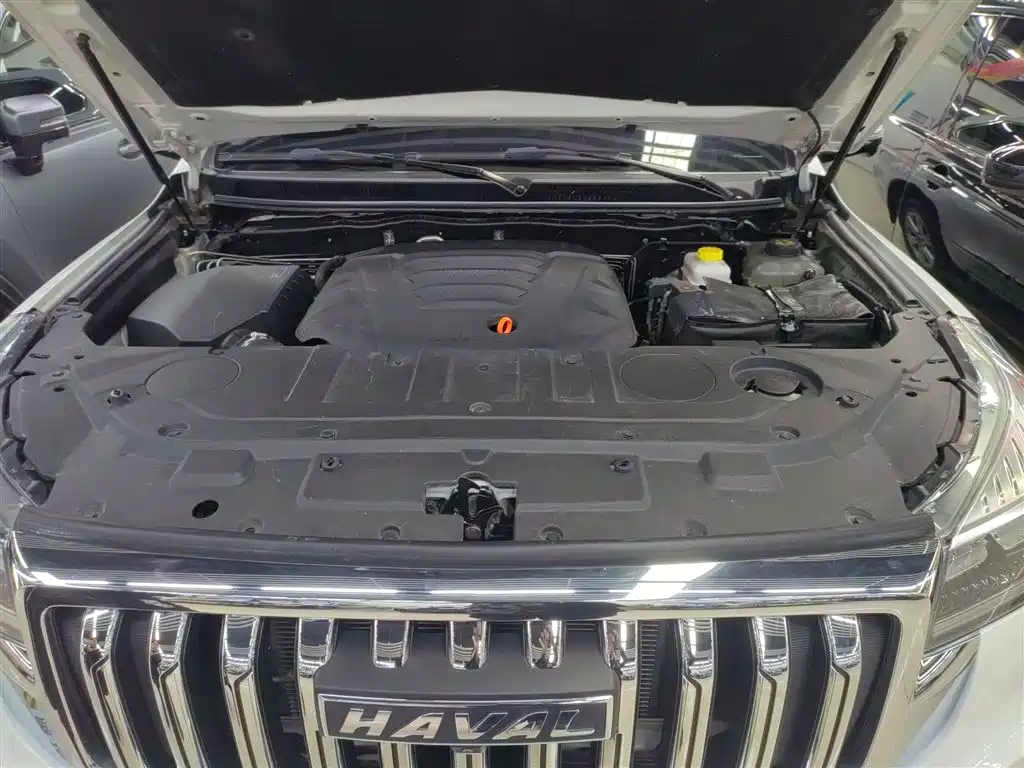 Haval H9 2022 2.0T Gasoline 4WD Premium 5-seater фото 20